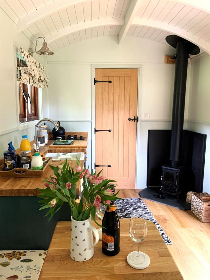 Lilliput - Delightful 1-Bedroom Shepherd'S Hut Holsworthy Exterior foto